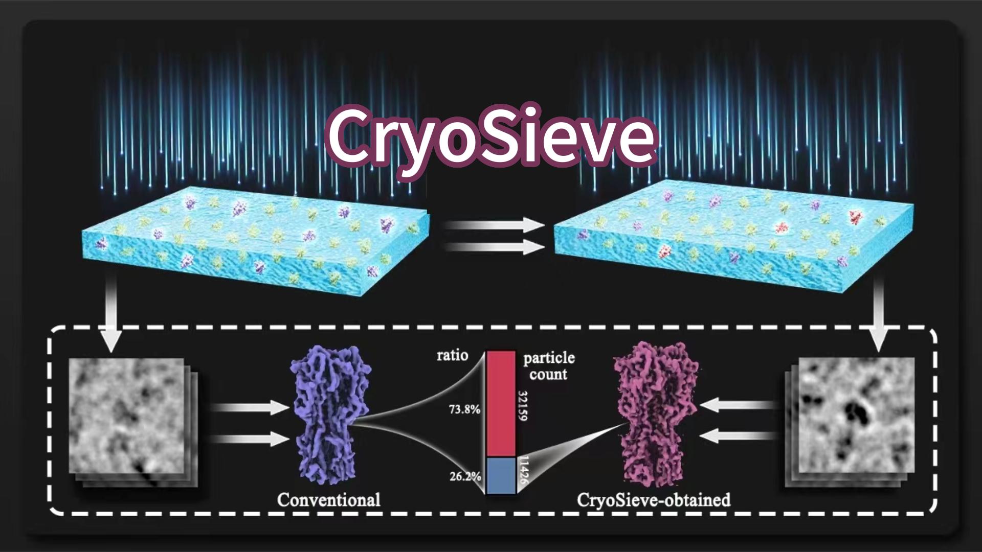 胡名旭/包承龙发文详解创新算法CryoSieve使用流程：可逼近冷冻电镜重构结构所需最少颗粒数量极限