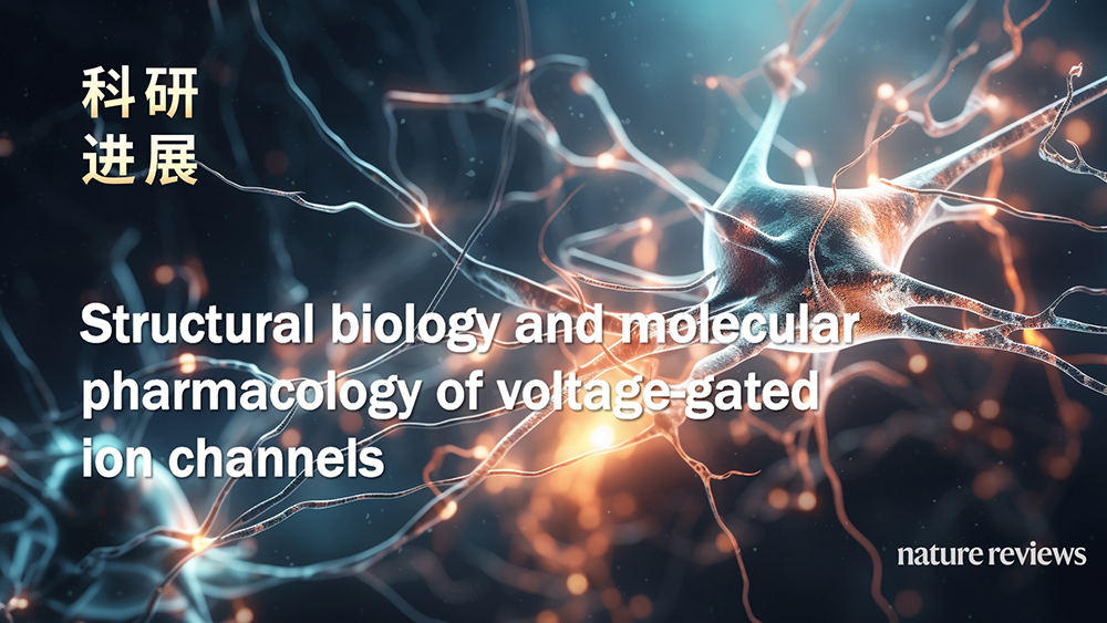 颜宁/潘孝敬/黄健发表Nature综述，系统总结电压门控离子通道的结构生物学和分子药理学最新进展