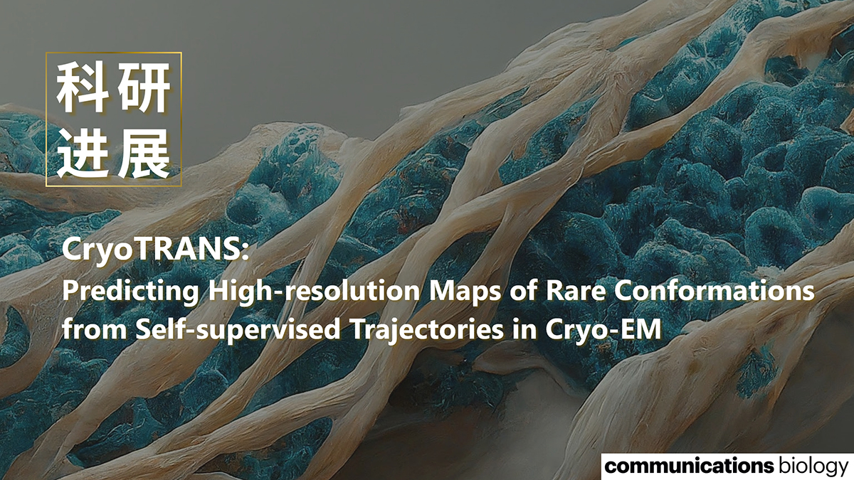 胡名旭及合作者提出基于自监督轨迹的预测冷冻电镜稀有构象高分辨率密度图的新算法