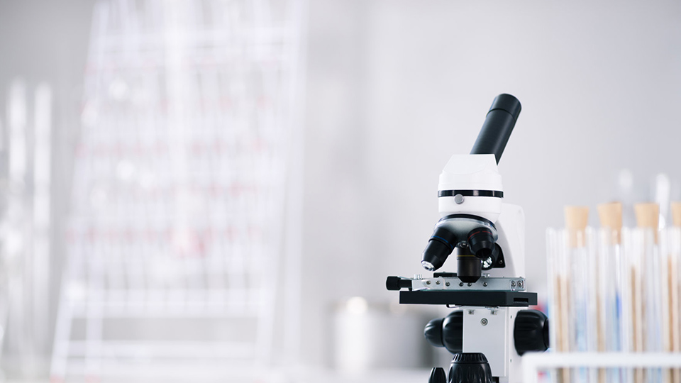 深圳医学科学院人类微生物组学课题组招聘