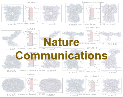 A minority of final stacks yields superior amplitude in single-particle cryo-EM