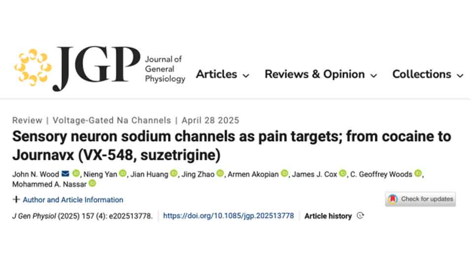 JGP | 颜宁/黄健与合作者总结靶向钠通道进行疼痛治疗的探索之旅