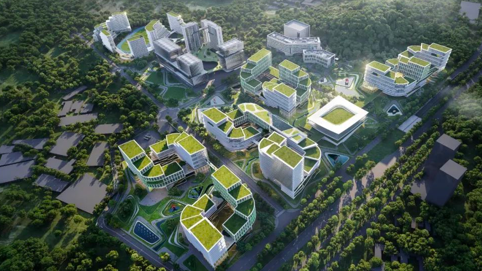 Launch of the SMART Investigator Program