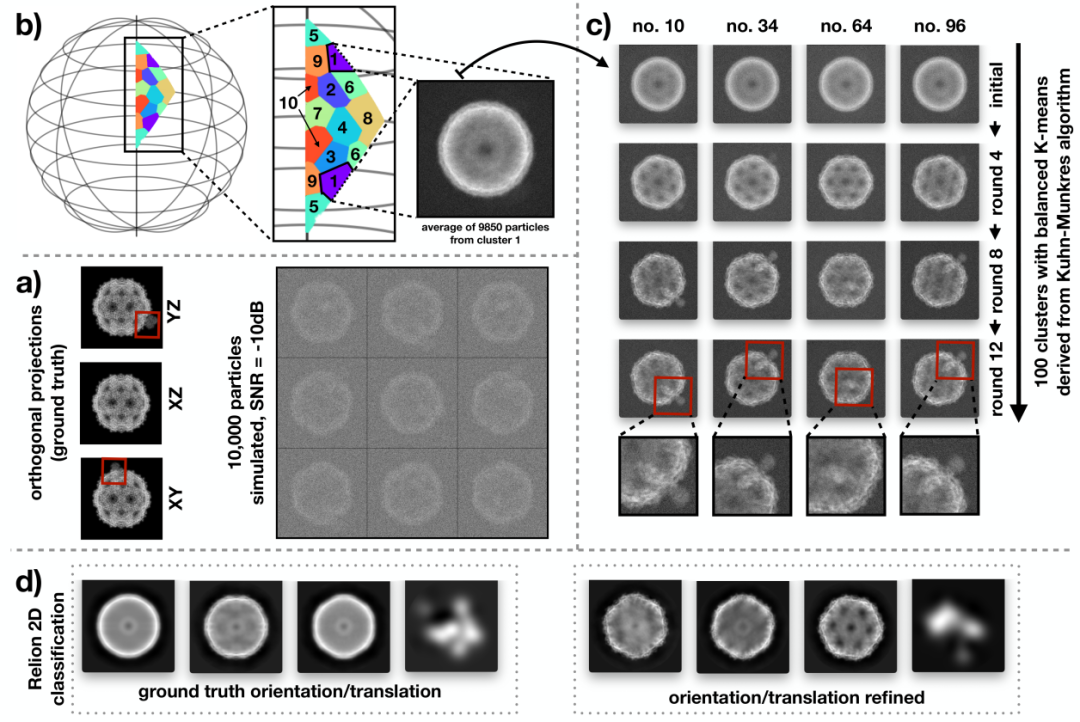 Averaging Orientations with Molecular Symmetry in Cryo-EM