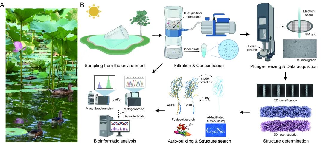 CryoSeek: A strategy for bio-entity discovery using cryo-electron microscopy