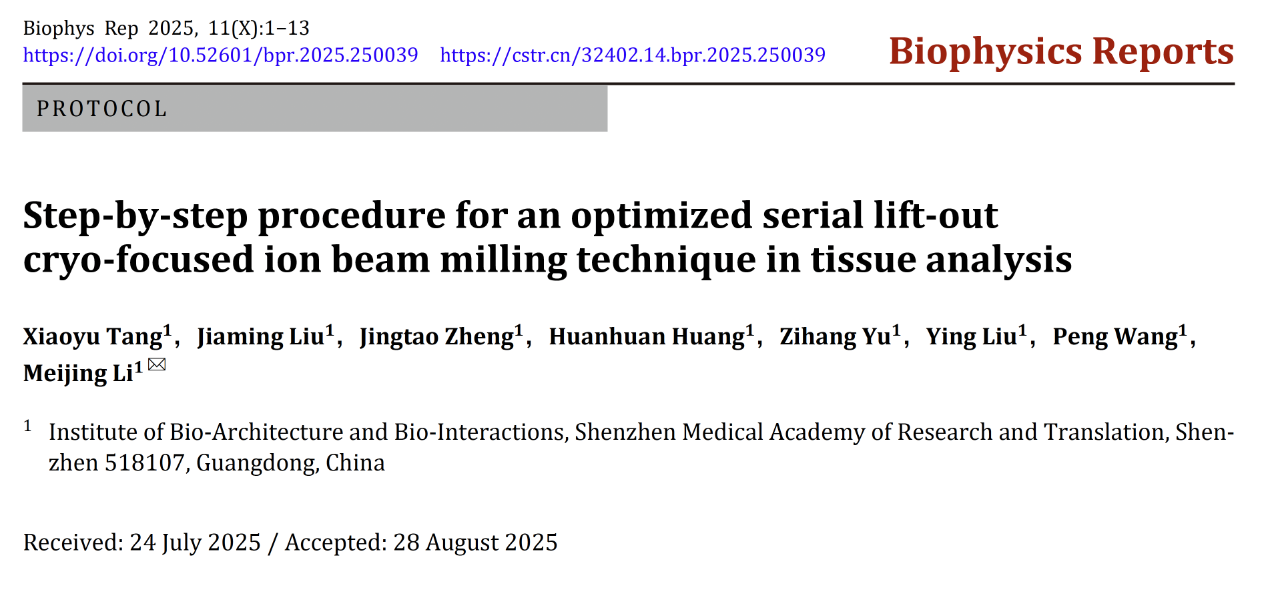 Biophys Rep | 李美静团队优化Serial-lift-out cryoFIB新方法并解析肠道多分枝状微绒毛原位结构