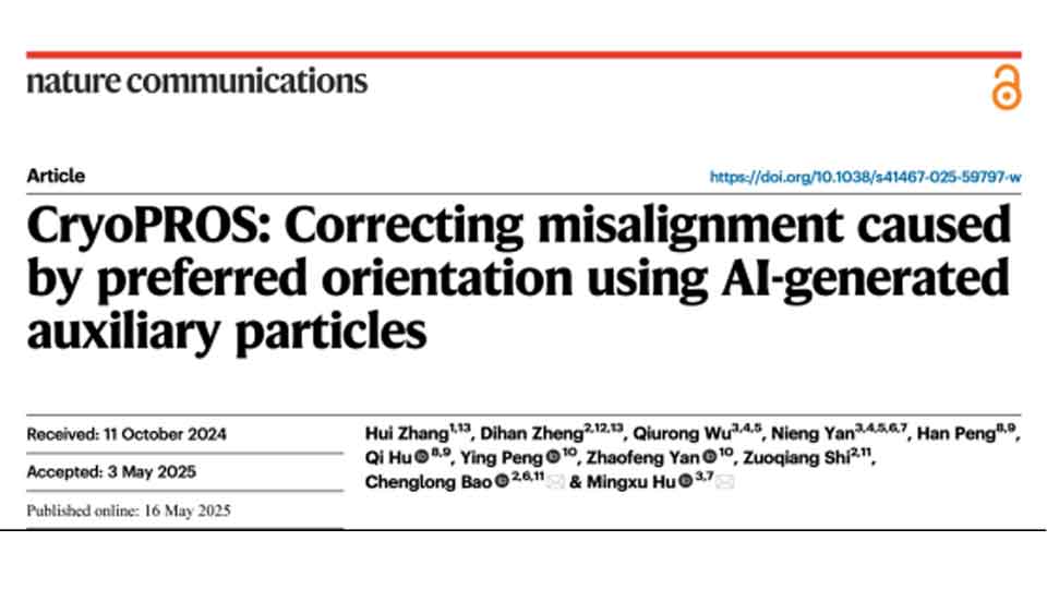 Nature Communications | Mingxu Hu et al. Introduce CryoPROS, a Computational Frame Designed to Correct Misalignment Caused by Preferred Orientation in Single-Particle Cryo-EM