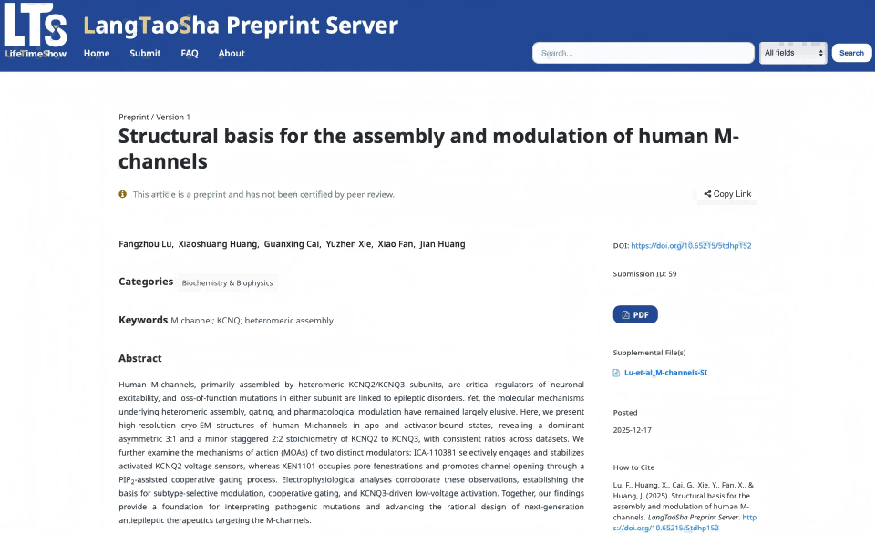 LTS Preprints | Three "Back-to-Back" Papers: Jian Huang, Xiao Fan, and Colleagues Uncover the Heteromeric Assembly Mode and Stepwise Gating Mechanism of the Human M-Channel