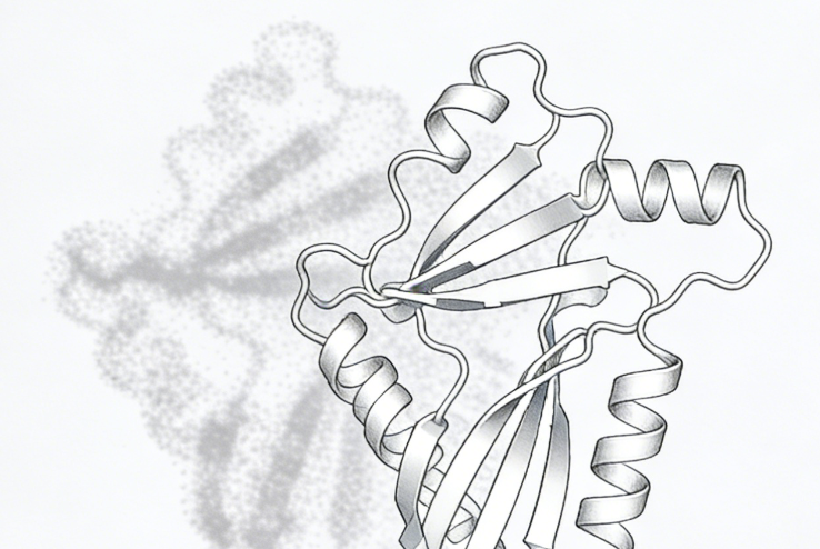 Communications Chemistry | Chenglong Bao and Mingxu Hu Propose the CoCoFold Algorithm to Fine-Tune AlphaFold with Limited Cryo-EM Observations