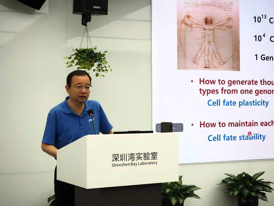 铭记过往，预见未来｜朱冰教授畅谈表观遗传与生命调控前沿研究